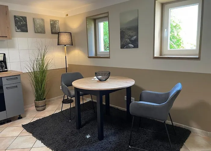 公寓 Modernes City-apartment Mit Parkplatz In 帕德博恩